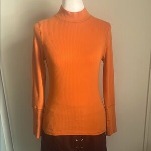 Elegant Orange Long Sleeve Turtleneck Top